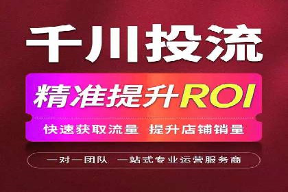 SEO策略在电商平台的成功应用案例